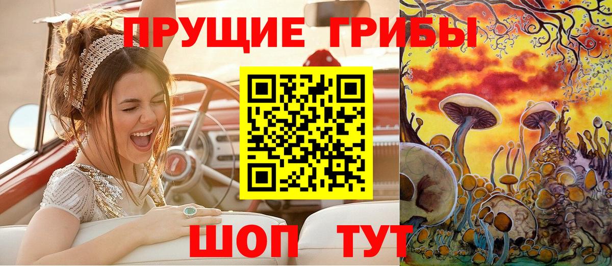 Сухой Лог  Галлюциногенные грибы ЛСД  Вход с VPN 
